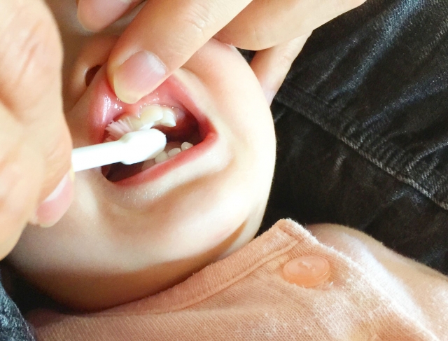 歯磨きの練習は赤ちゃんの歯が生え始める頃から開始しよう ブレスマイルラボ