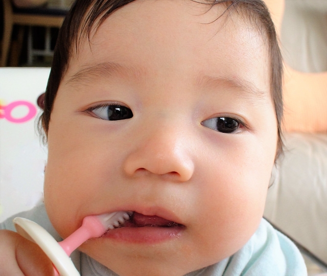 赤ちゃんの歯磨き特集 ベビー用歯ブラシはいつから使う ブレスマイルラボ